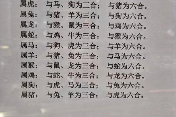 属猪三合属相 属猪三合属相