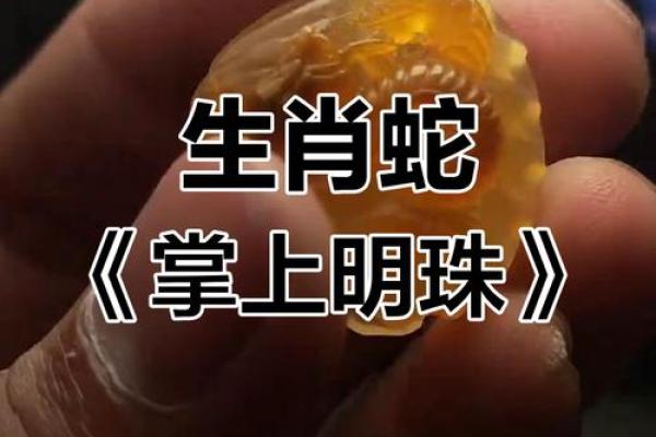 掌上明珠是什么生肖打一肖(掌上明珠属于什么生肖)