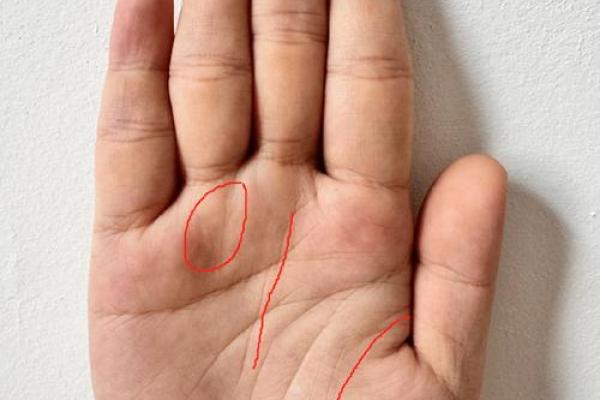 食指无名指一样长 食指无名指一样长的女人命运