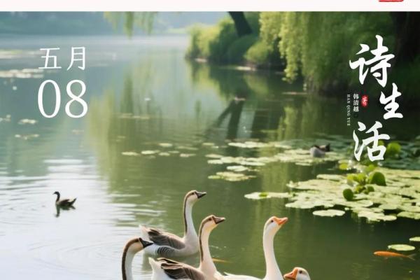 泛舟五湖是什么生肖(泛舟五湖上 诗句)