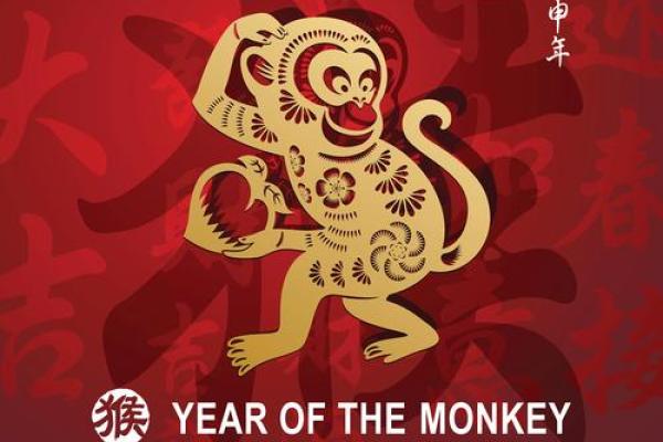 为什么说猴子天生红屁股？解析生肖猴的生理特征与民间说法