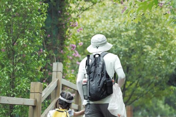 想要了解山止川行对应的生肖，以及它的文化背景解析