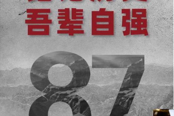 7月17日是世界哪个重要的国际日或纪念日？