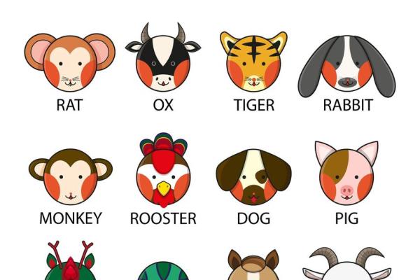 99属兔和04属猴的合不合 99兔和04猴的姻缘