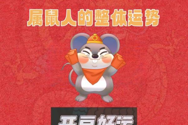 属鼠的人2024年全年运势详解完整版最新