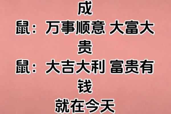 2025年1984年出生生肖鼠事业财运健康感情全面解析