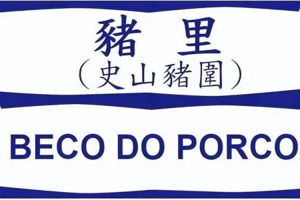 大街小巷是指什么生肖(大街小巷打一动物生肖)