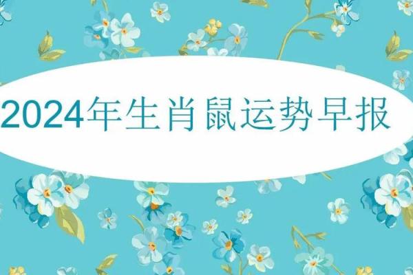 2024年属鼠的运势详解，今年事业和财富有突破吗？