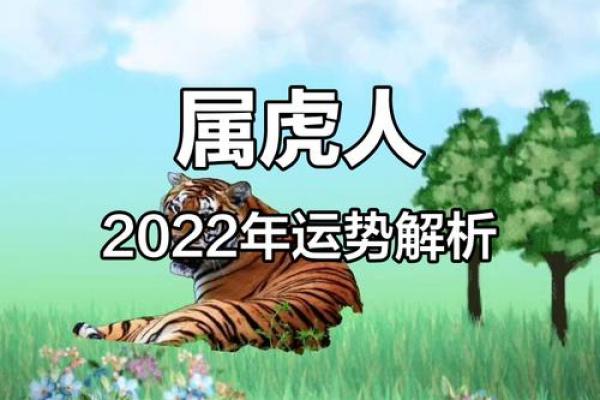 2022年属什么年(2022年属什么年)