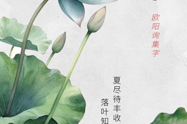 暑气至此而止矣说的是哪一个节气