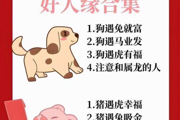 八拜之交打一个生肖最佳答案是什么？传统文化中着个生肖代表深厚友谊