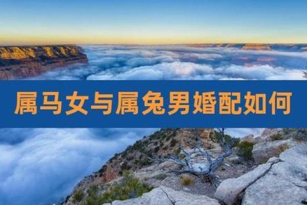 1999年属兔女最佳婚配属相 1999年属兔女最佳婚配属相是什么