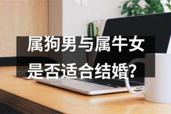 鸡男和牛女的属相合不合 女属鸡男属狗婚姻相配吗