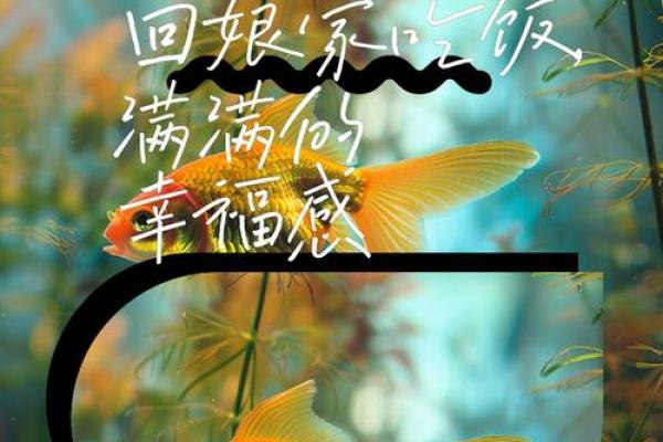 有一种幸福叫回娘家的句子 回到娘家的感慨心情发朋友圈