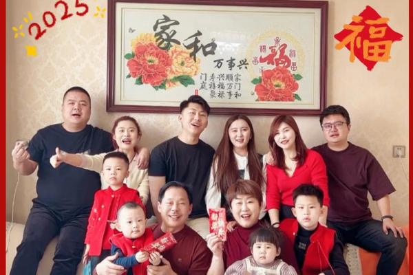 回娘家过大年 回娘家过大年剧情
