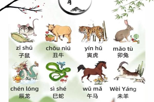 ‌站稳脚跟打一生肖‌ → 牛（丑牛踏实，蹄稳如山）