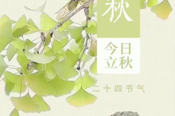 想查询今年8月7号立秋节气准确的时分秒时间信息