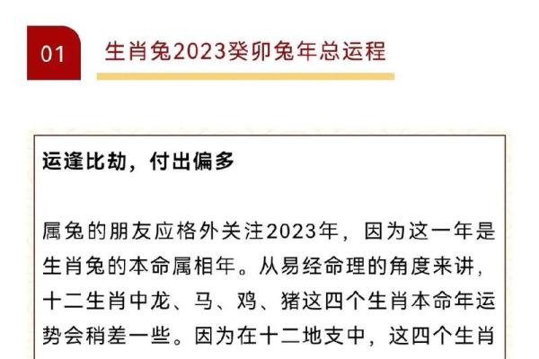 刻鹄不成通常用来形容哪个生肖的真实含义解析