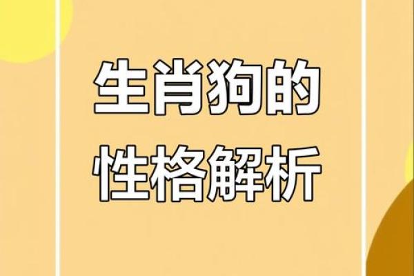 1994年出生的属狗人五行属什么,一生命运如何? 1994年出生的属狗人五行属什么,一生命运如何?