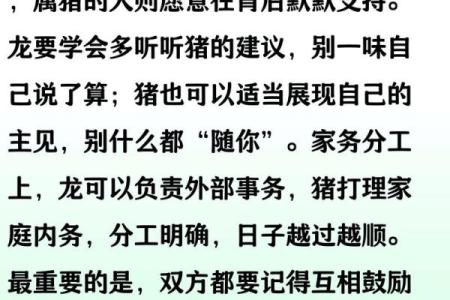 属龙女和什么属相结婚最幸福长久