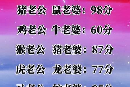 生肖配对免费测试：属鼠和属马的人婚姻配对是否合适，详细解析
