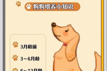 狗几月出生最好 狗几月出生最好几点出生