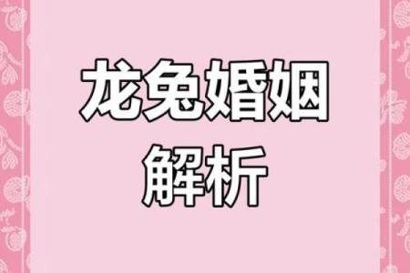 龙和谁是天生一对？揭秘最佳婚配对象与缘分指数