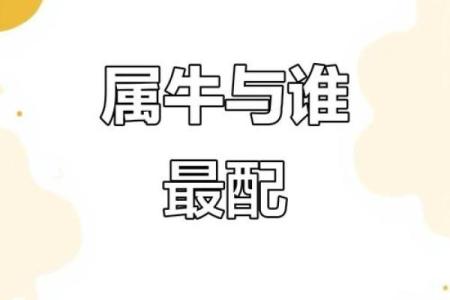 属牛的人最适合与哪个属相结婚配对呢