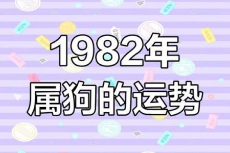 1982年属狗人2025年每月运势详解及得把眼睛擦亮了