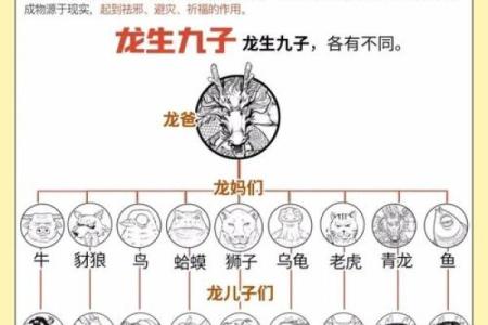 鸡与龙的属相合不合 龙和鸡是相冲还是相克