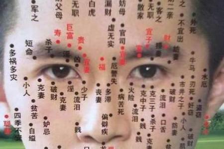 男人面相算命(男人面相痣大全图解)