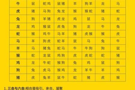 夫妻相克表太准了(夫妻相克表太准了怎么破解)