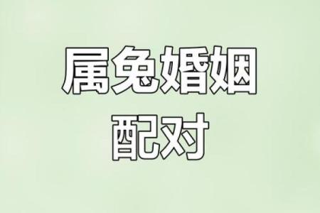 属鼠的人和属兔的人在婚姻中配对真的合适吗？