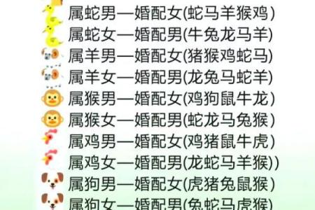 属龙人婚配生肖最佳选择有哪些详细解析