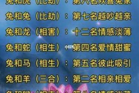 男兔女蛇婚配是否相克？解析生肖配对中的婚姻禁忌