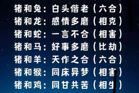 男猪女鼠的属相婚配指数高吗两人在一起合适吗