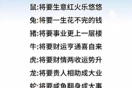 一三一四中本期是什么生肖