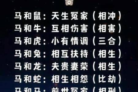 鼠马属相婚配好不好 生肖鼠配马的婚姻如何