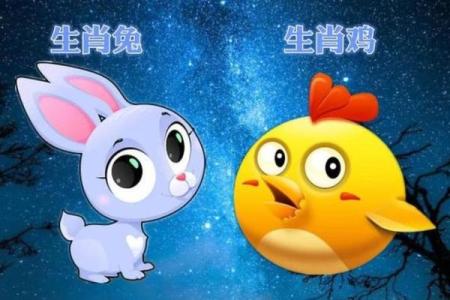 87兔男95猪女在一起婚姻会幸福吗，属相配对有没有得把眼睛擦亮了？