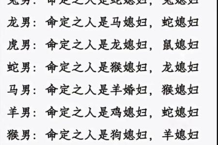 兔和马属相婚配是否合适？解析两者性格与婚姻契合度