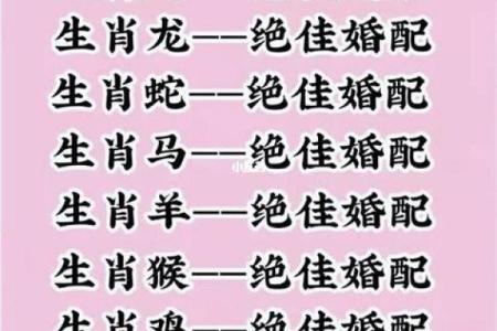 十二生肖属相婚配表：属鼠和属马的人结婚真的合适吗？