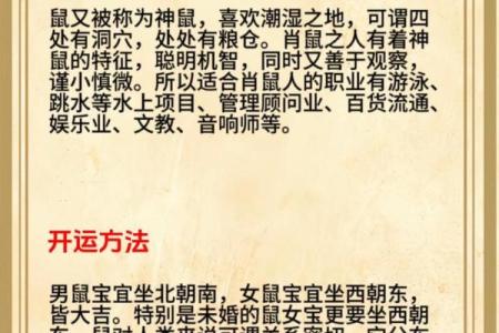 1996年出生的属鼠人最佳婚配属相是哪些？需要注意什么？