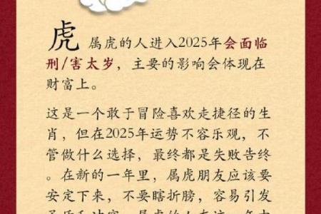 虎蛇属相在事业合作上合不合？探讨生肖虎和蛇的职场相处之道