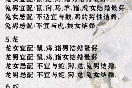 兔和鸡属相婚配是否合适？解析生肖配对中的相生相克关系