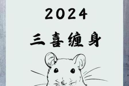 1984年属鼠人2024年全年运势详解及每月运程