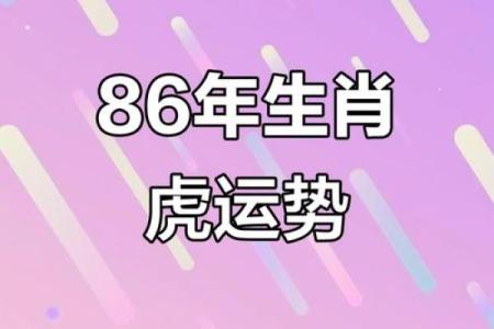1986属虎最佳配对 1986属虎最佳配对星座