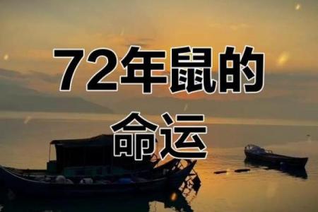 72年鼠人两段孽缘对事业和家庭的影响有哪些，应该如何避免或处理？