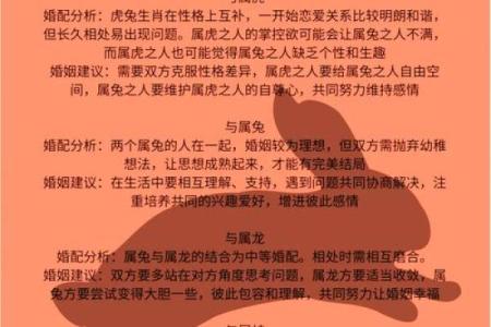 兔和羊的婚姻配对是否真的如传说中那样和谐美满？