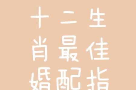 属牛的人和属鼠的人在婚姻配对中是否真的合适呢？