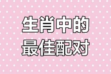男猪女虎生肖配对婚姻是否幸福长久需要注意什么